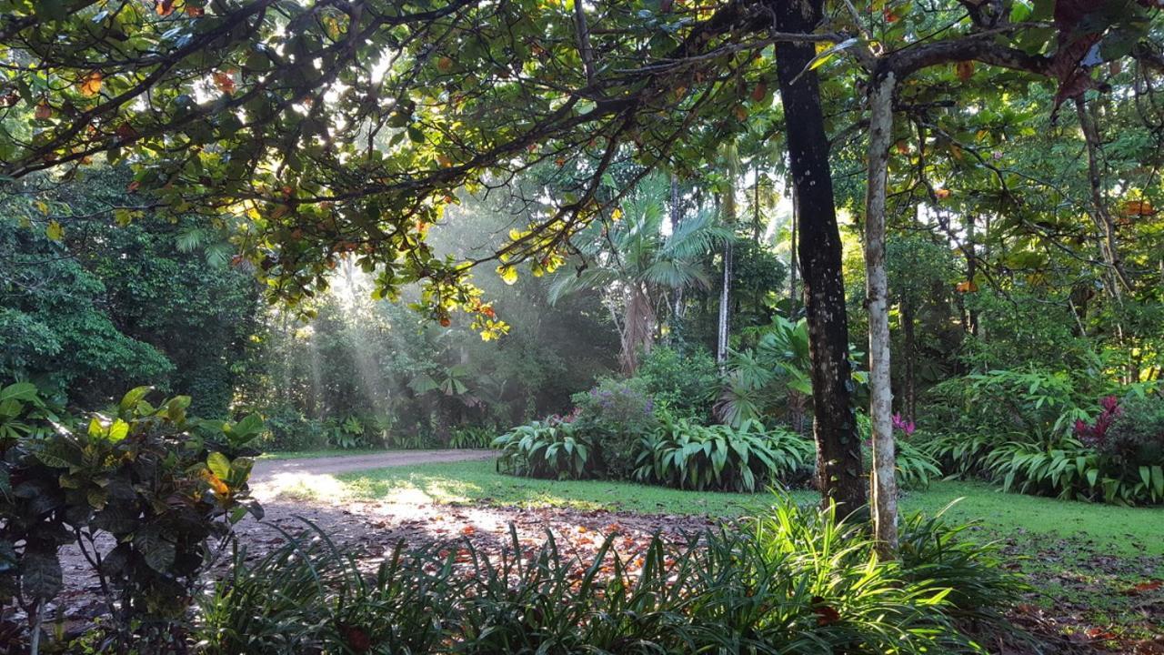Diwan Fanpalm Creek Hideaway 빌라 외부 사진